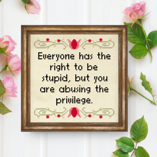 Everyone Has The Right To Be Stupid, But You Are Abusing The Privilege Cross Stitch Pattern