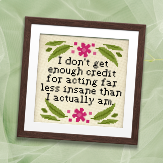 I Don't Get Enough Credit Cross Stitch Pattern